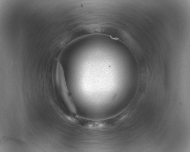 X0000055520125200508121053