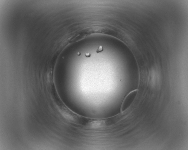 X0000055520126200508121053