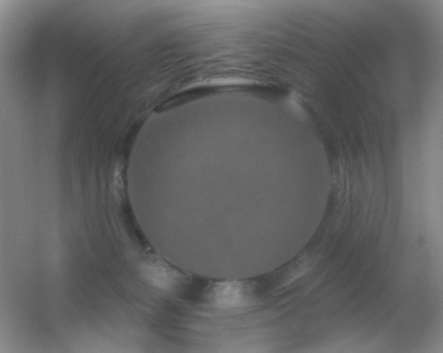X0000055520127200508121053