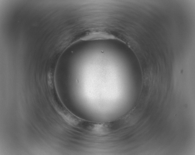 X0000055520130200508121053
