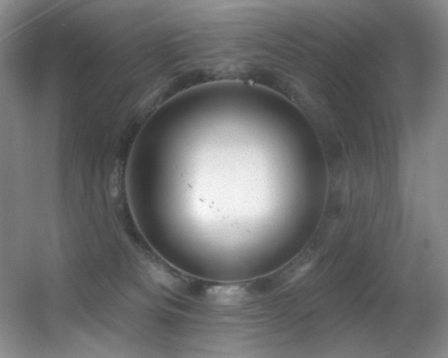X0000055520133200508121053