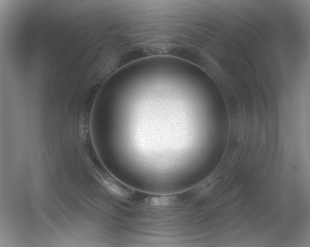 X0000055520134200508121053