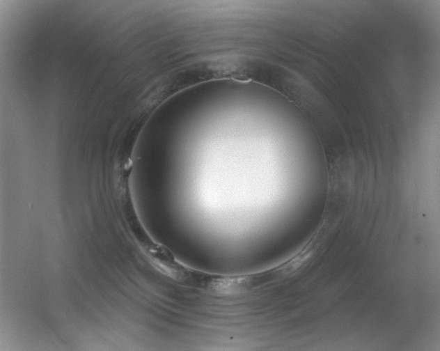 X0000055520136200508121053