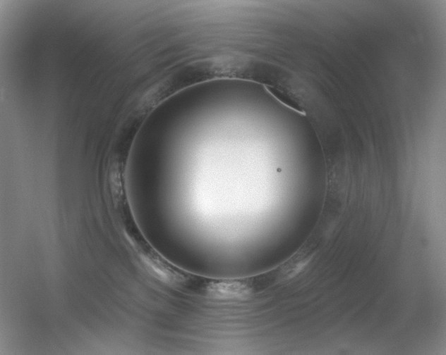 X0000055520137200508121053