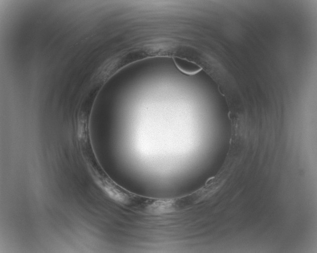 X0000055520138200508121053