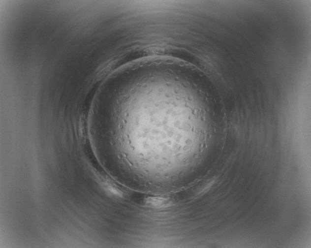 X0000055520139200508121053