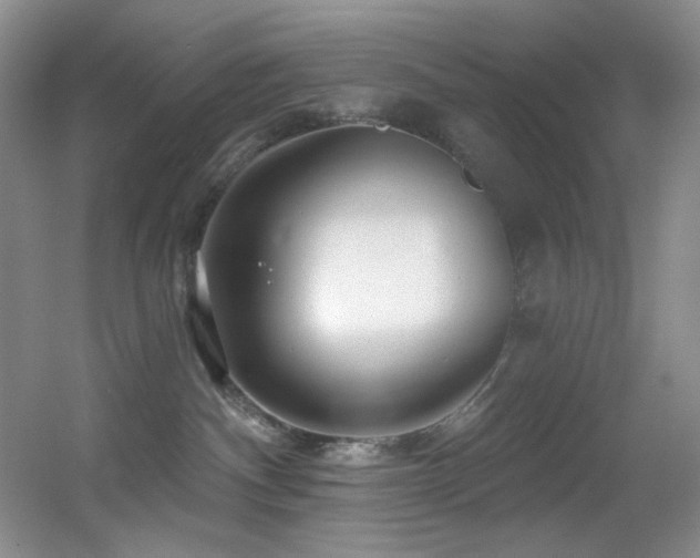 X0000055520140200508121053