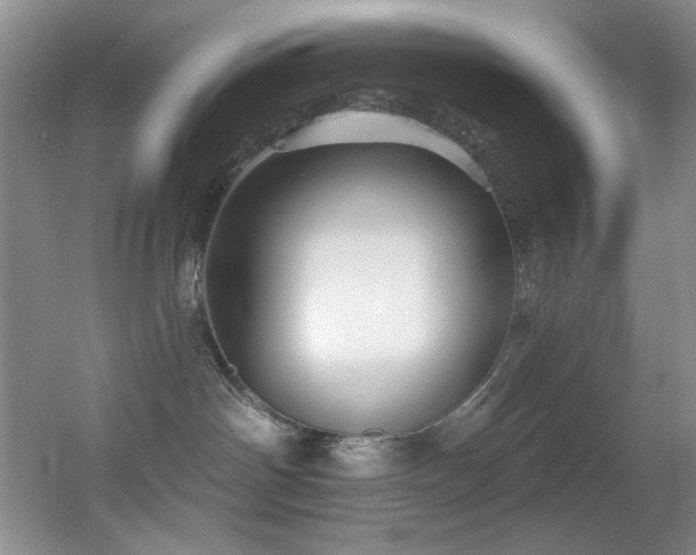X0000055520142200508121053