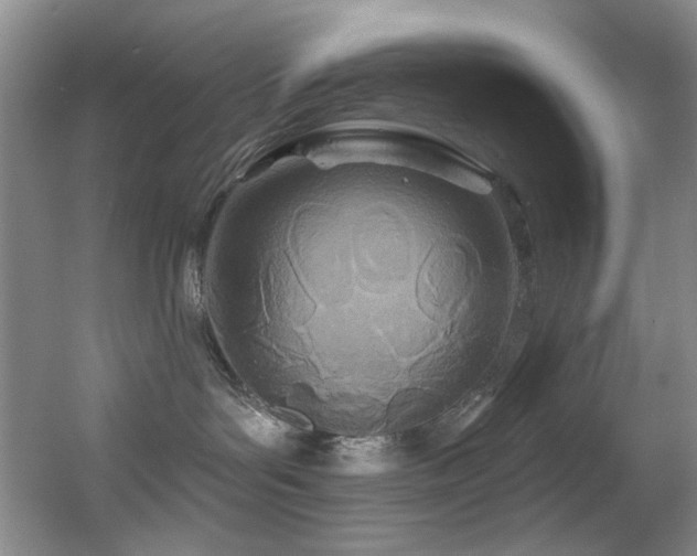 X0000055520143200508121053