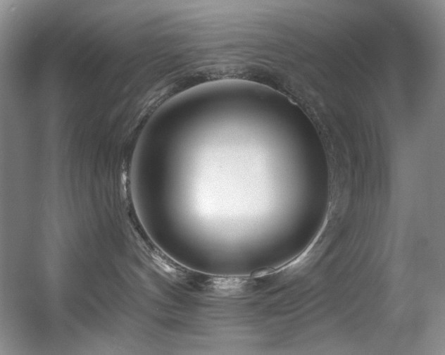X0000055520144200508121053