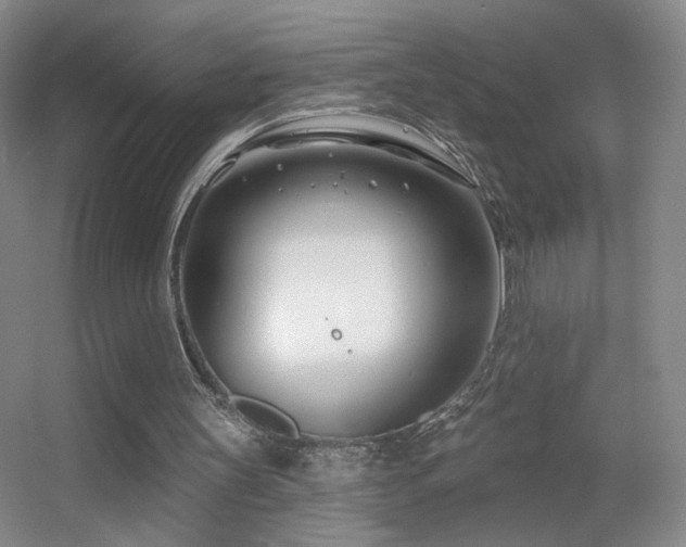 X0000055520147200508121052