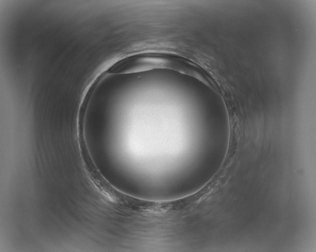 X0000055520148200508121052