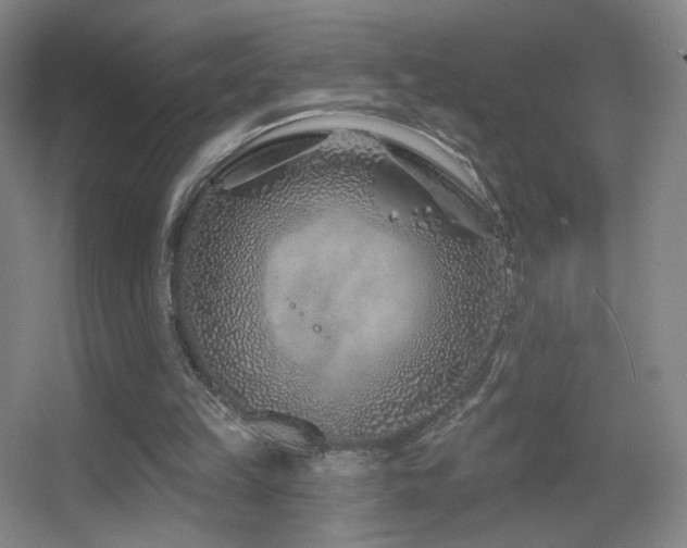 X0000055520149200508121052