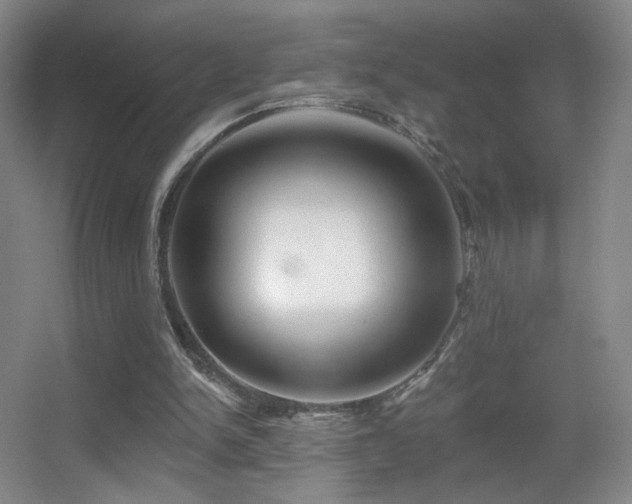 X0000055520150200508121052