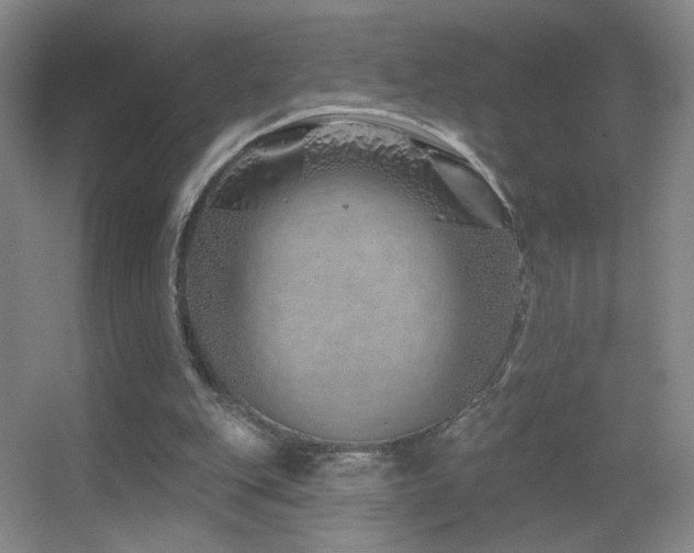 X0000055520151200508121052