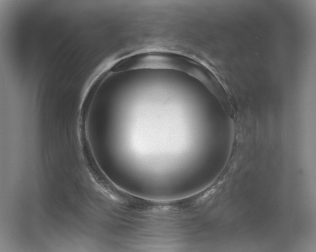 X0000055520152200508121052