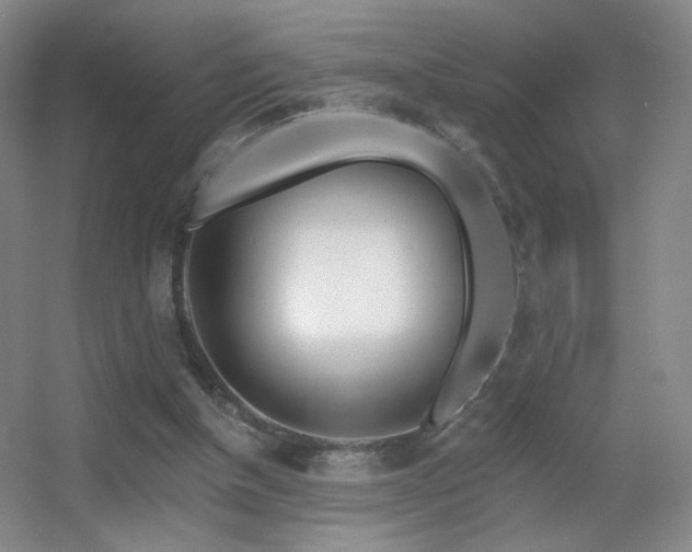 X0000055520154200508121052