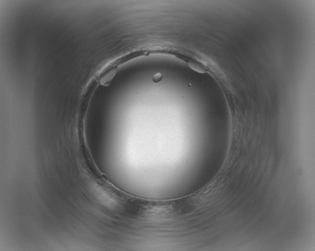 X0000055520155200508121052