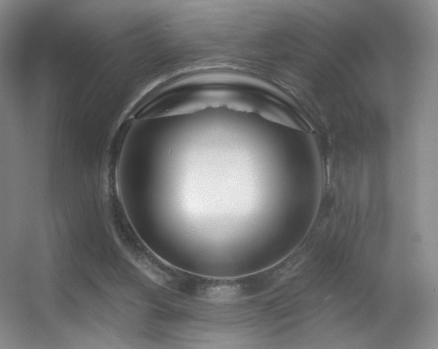 X0000055520156200508121052