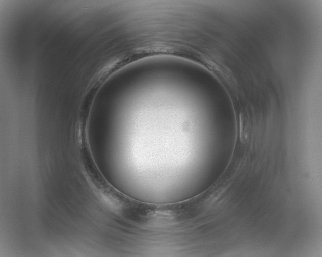 X0000055520157200508121052