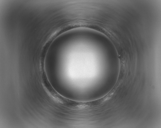 X0000055520158200508121052
