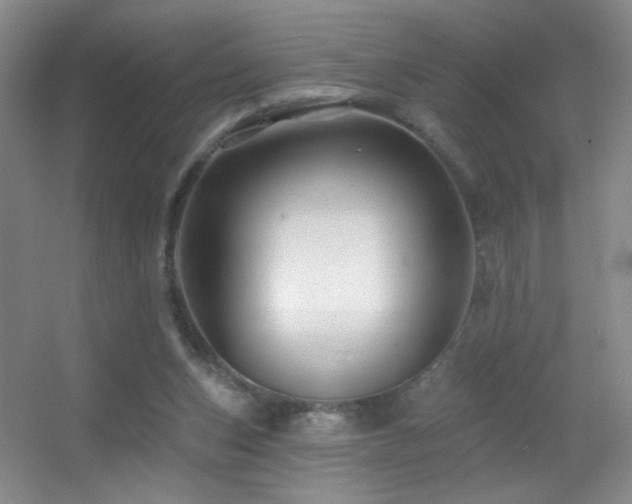 X0000055520159200508121052