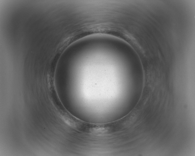 X0000055520161200508121052
