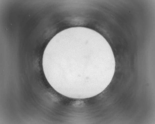 X0000055520162200508121052