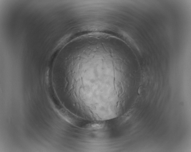 X0000055520163200508121052
