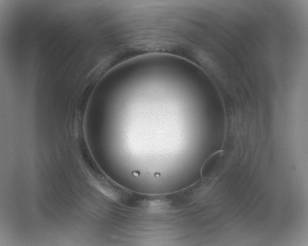 X0000055520165200508121052