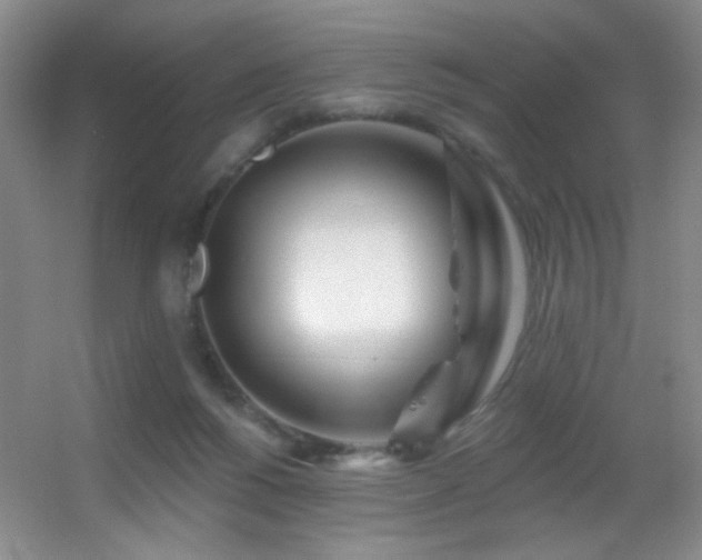 X0000055520168200508121053