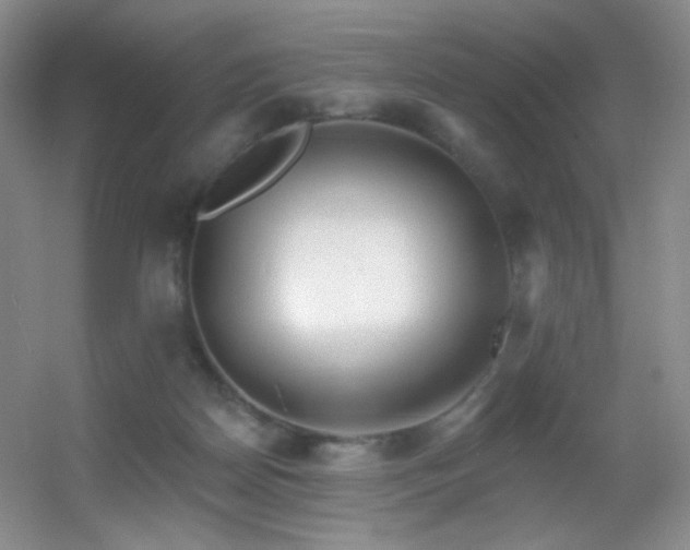X0000055520170200508121053