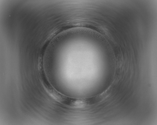 X0000055520171200508121053