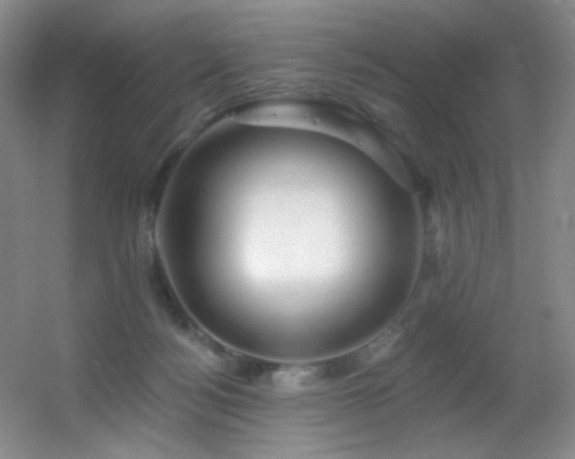 X0000055520172200508121053