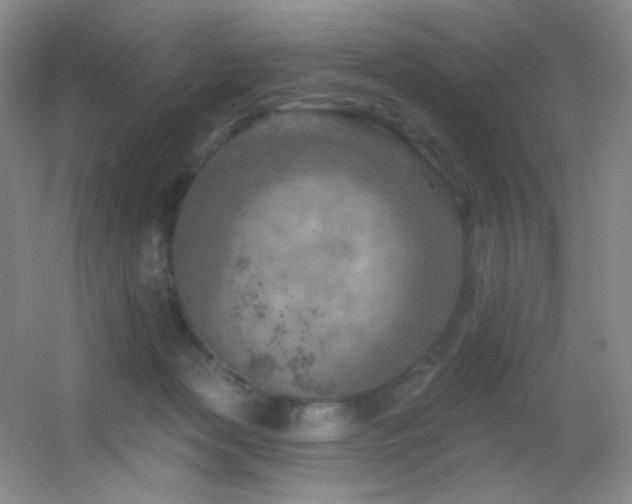 X0000055520173200508121053