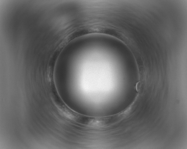 X0000055520174200508121053