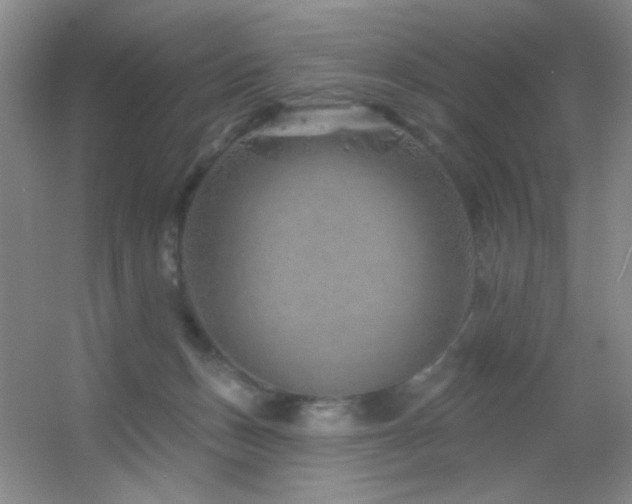 X0000055520175200508121053