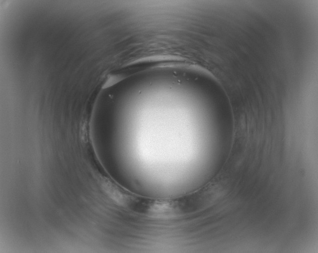 X0000055520177200508121053