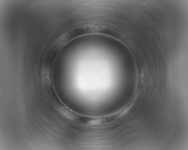 X0000055520178200508121053