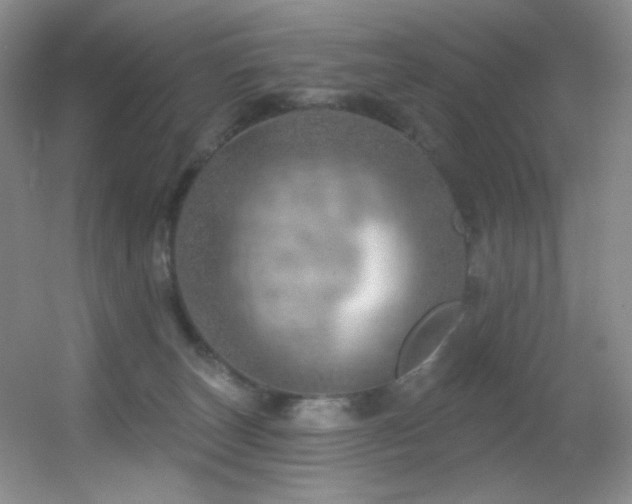 X0000055520179200508121053