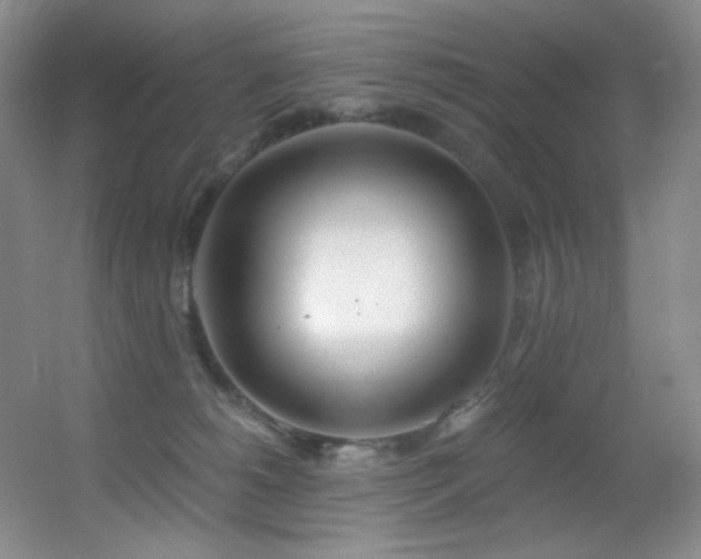 X0000055520180200508121053
