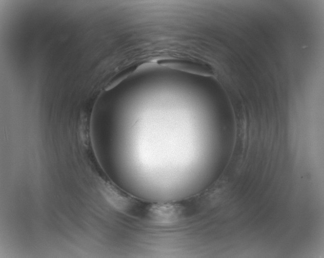 X0000055520181200508121053