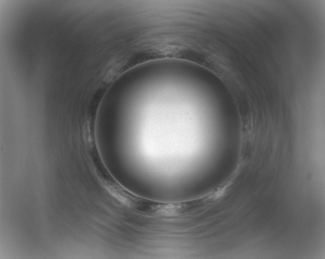 X0000055520182200508121053
