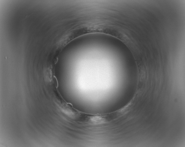 X0000055520183200508121053