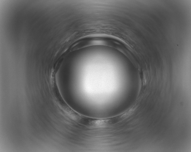 X0000055520184200508121053