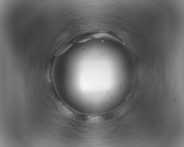 X0000055520185200508121053