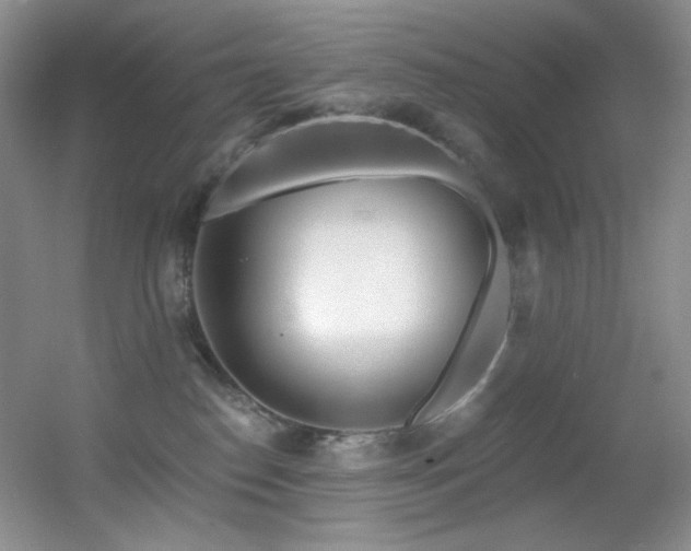 X0000055520186200508121053