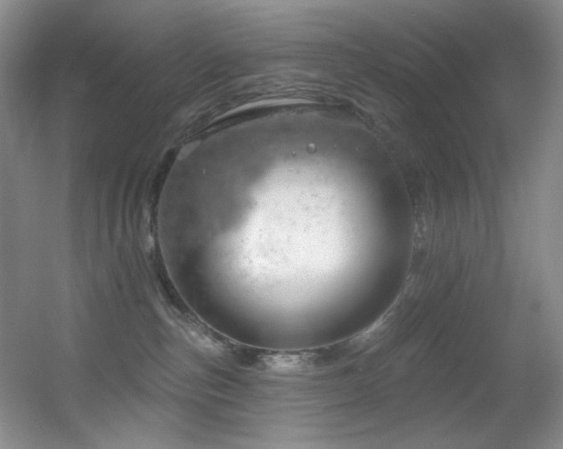 X0000055520187200508121053