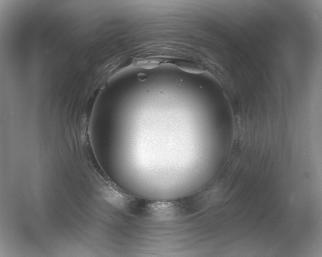 X0000055520189200508121053