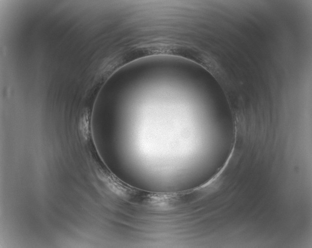 X0000055520190200508121053